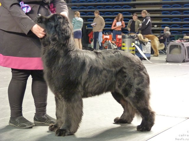 Фотография № 116522