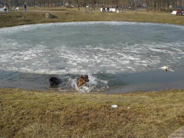 Фотография № 11653