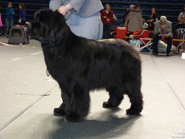 Фотография № 116531