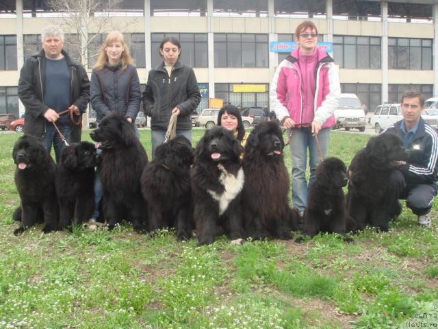 Фотография № 11654