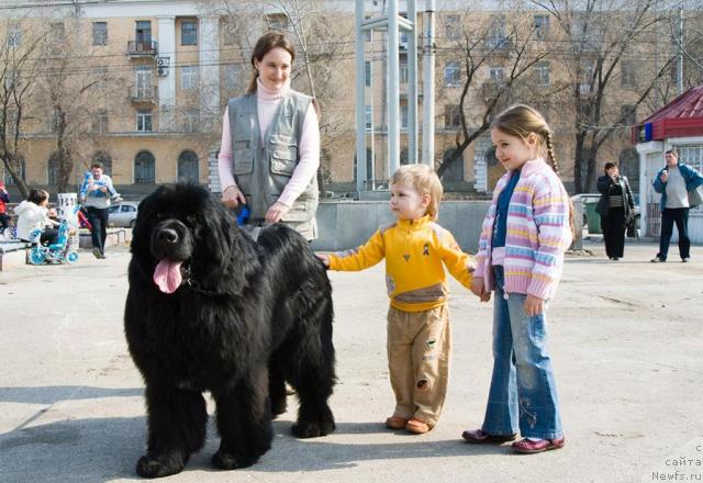 Фотография № 11655