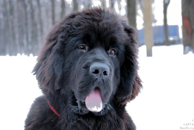 Фотография № 116556