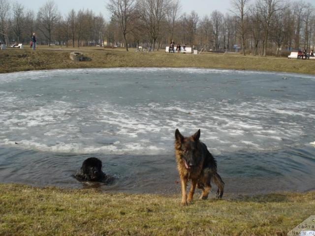 Фотография № 11656