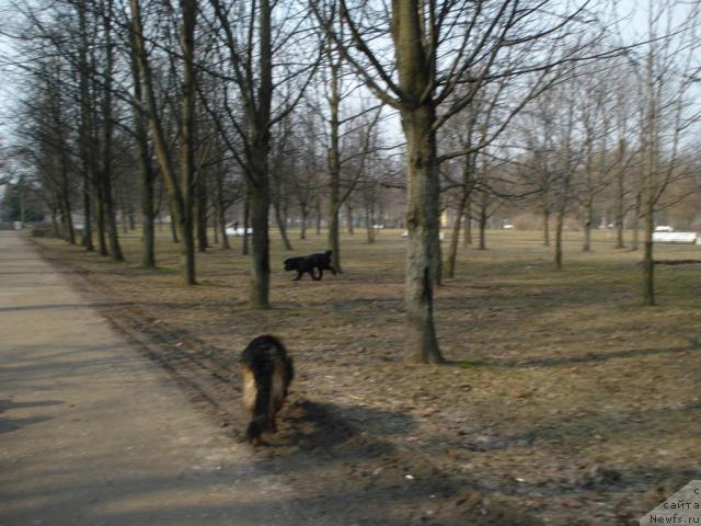 Фотография № 11658