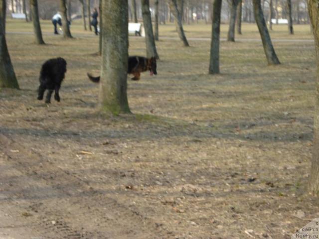 Фотография № 11660