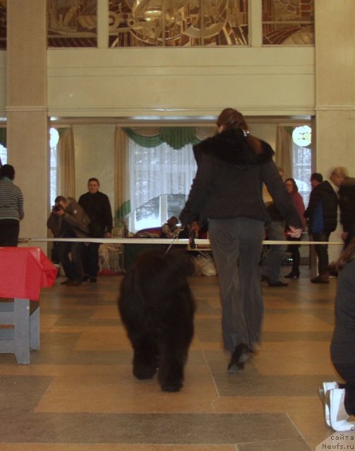 Фотография № 116610