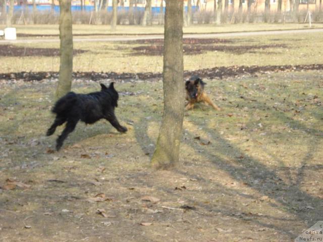 Фотография № 11662