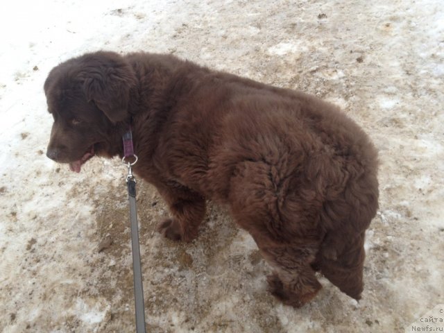 Фотография № 116653