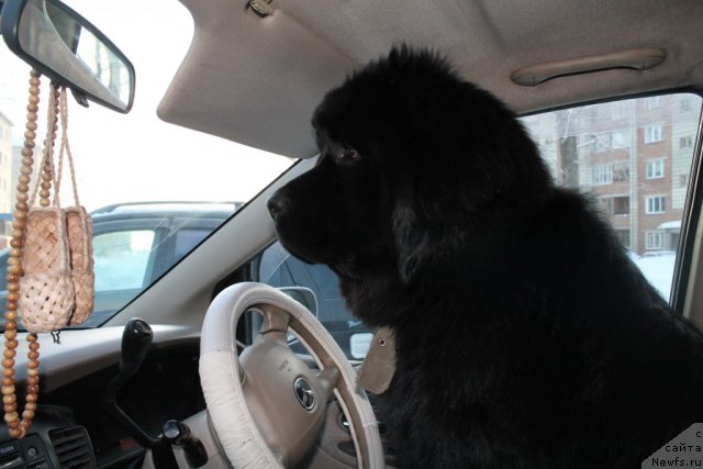 Фотография № 116654