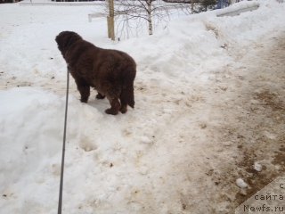 Фотография № 116655