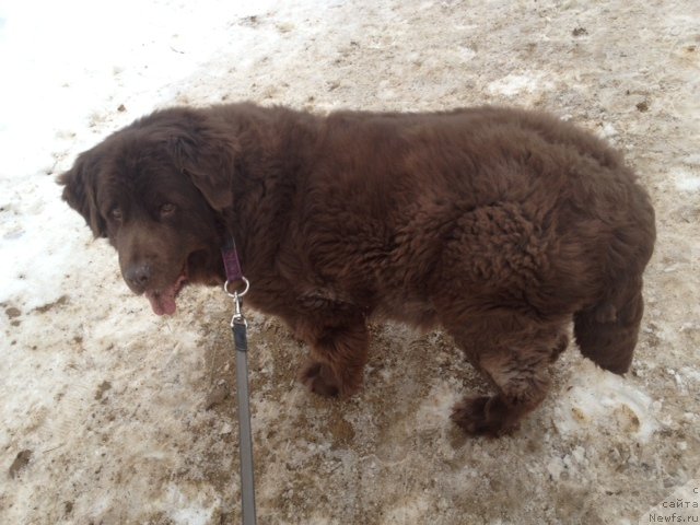 Фотография № 116656