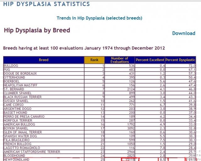 Фотография № 116657