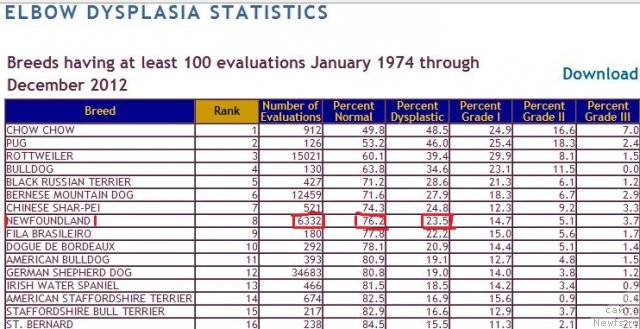 Фотография № 116659