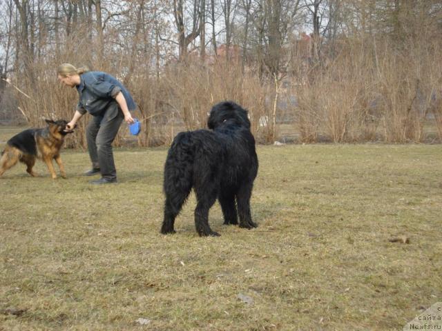 Фотография № 11666