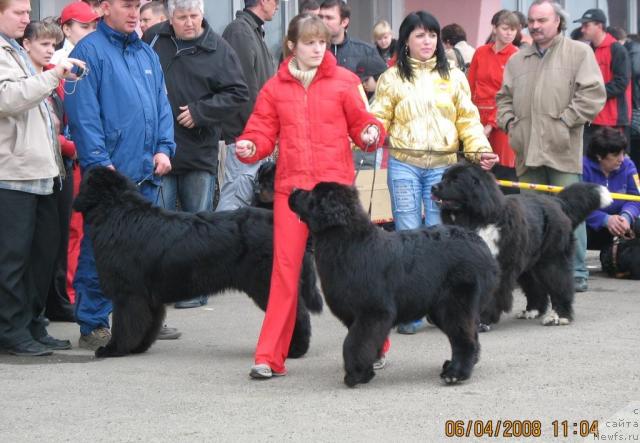 Фотография № 11667