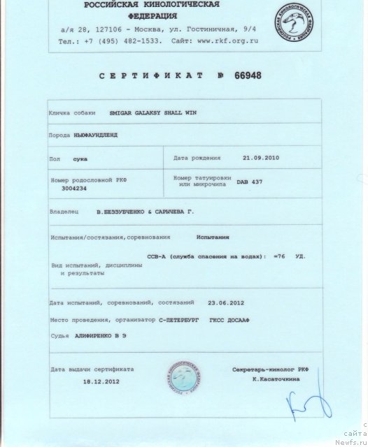 Фото: ньюфаундленд Смигар Галакси Шелл Вин (Smigar Galaxsy Shall Win)