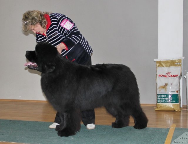 Фотография № 116691