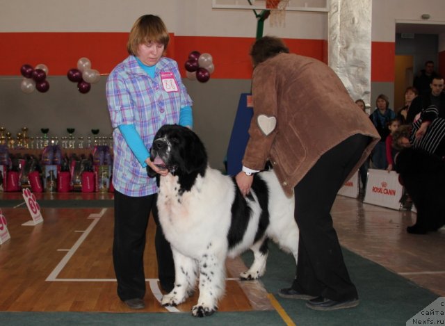 Фотография № 116693