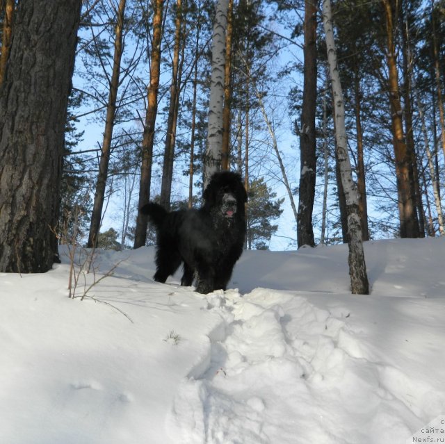 Фотография № 116706