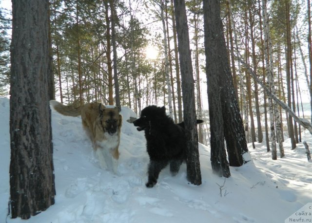 Фотография № 116707