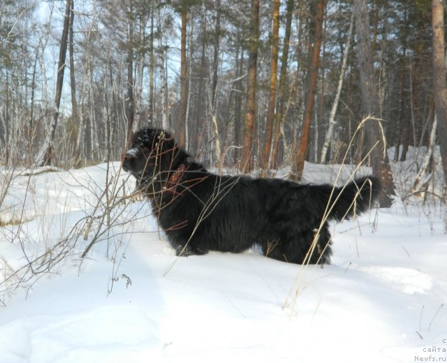 Фотография № 116708