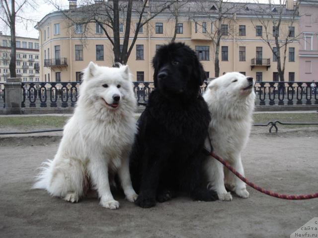 Фотография № 11671