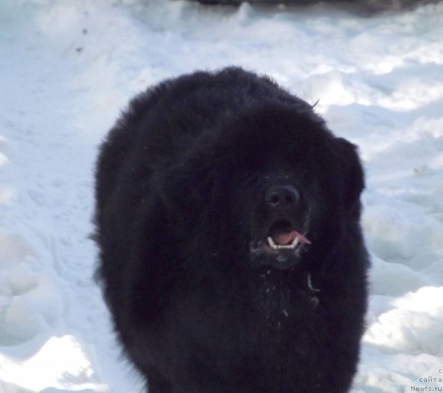 Фотография № 116710