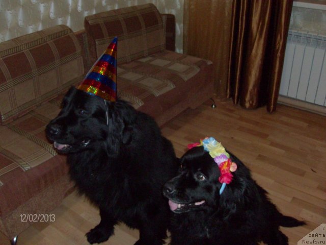 Фото: [d7429] и Лора