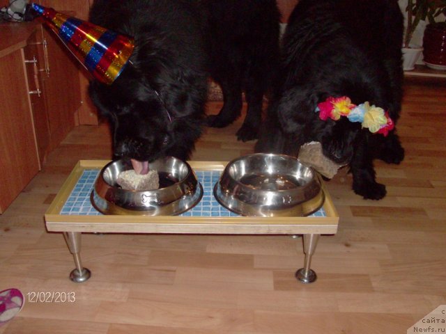 Фото: [d7429] и Лора