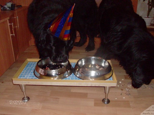 Фото: [d7429] и Лора