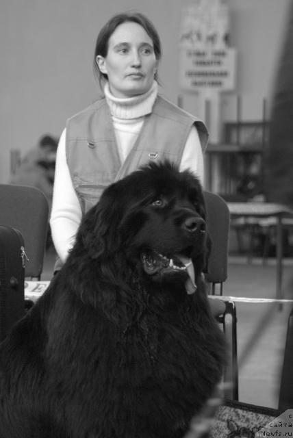 Фото: Надежда Момот, ньюфаундленд Юган с Тоянова Городка (Ygan s Toyanova Gorodka)