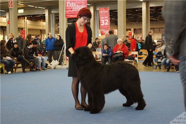 Фото: Wave Seeker's My Love Is Your Love