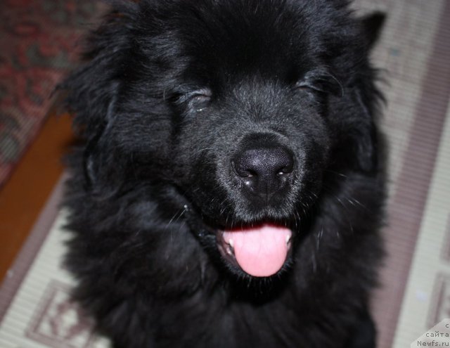 Фото: Кара Аюлар Wind of Changes