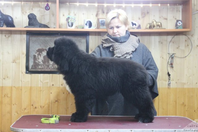 Фотография № 116828