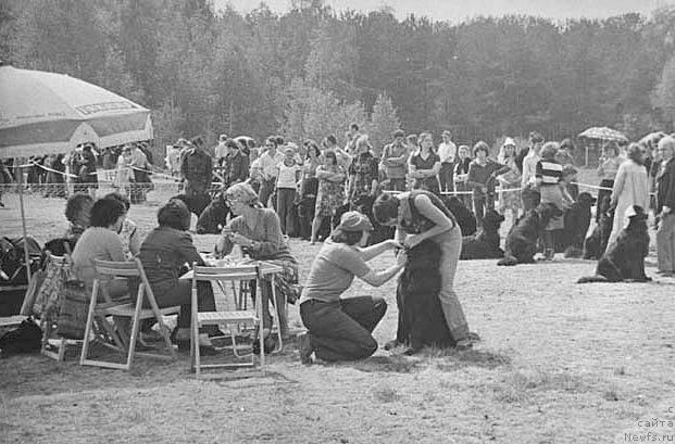 Фотография № 11689