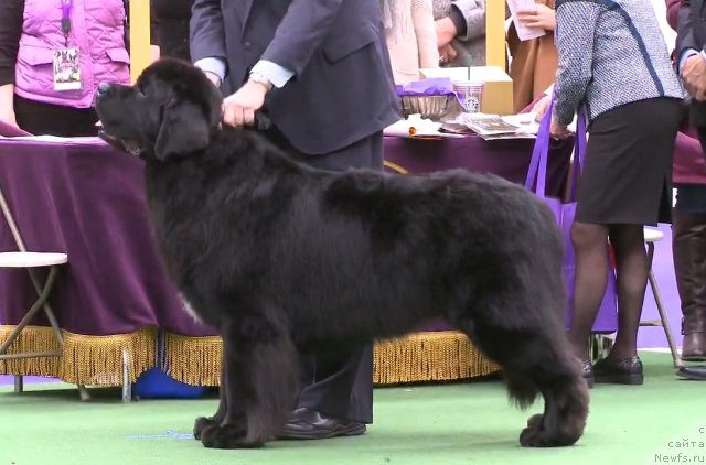 Фотография № 116942