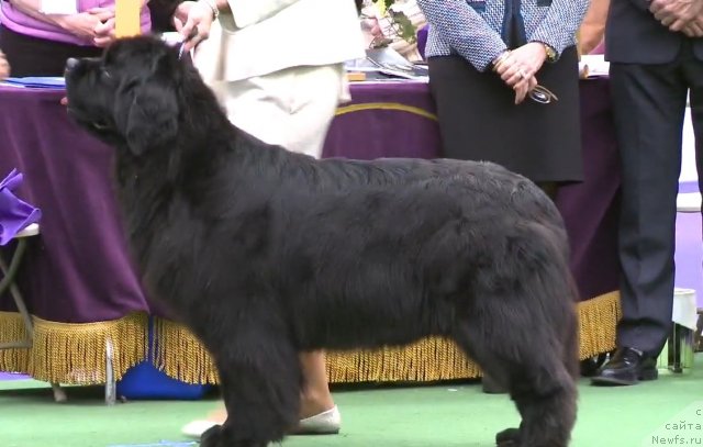 Фотография № 116951