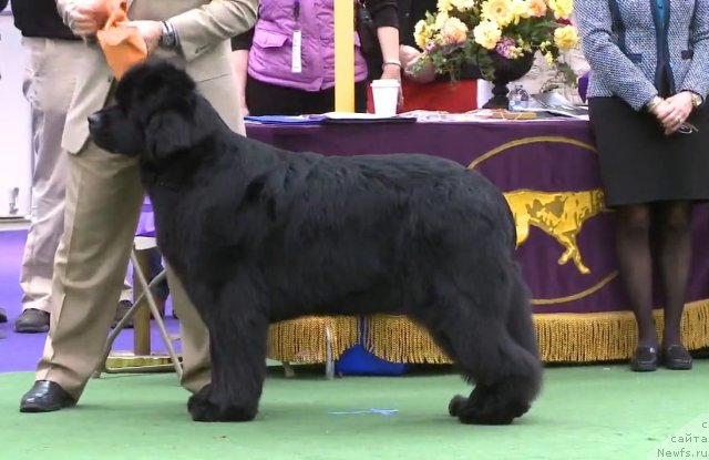 Фотография № 116953