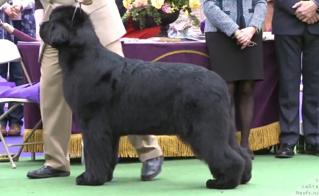 Фотография № 116956