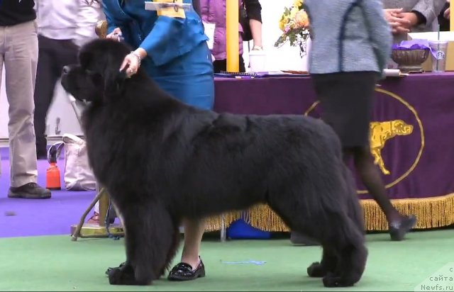 Фотография № 116962