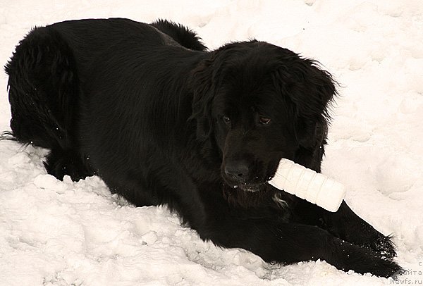 Фотография № 116977