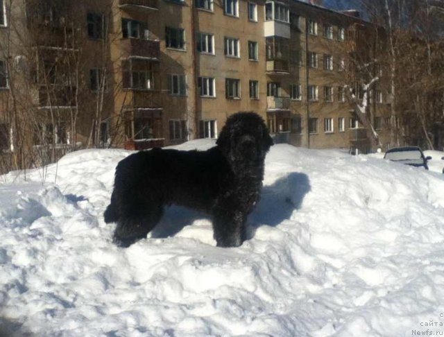 Фотография № 117000