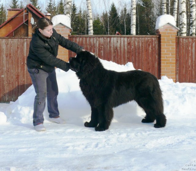 Фотография № 117079