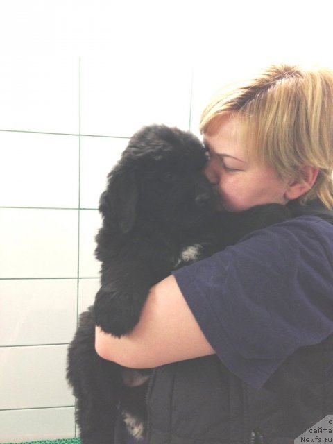 Фото: Акватория Келвин Цамбия