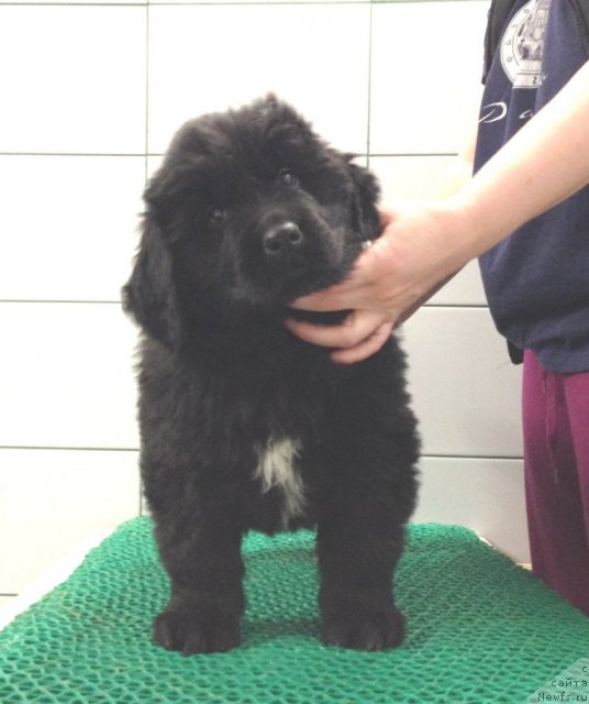 Фото: Акватория Келвин Цамбия