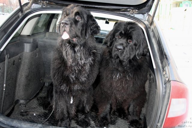 Фотография № 117103