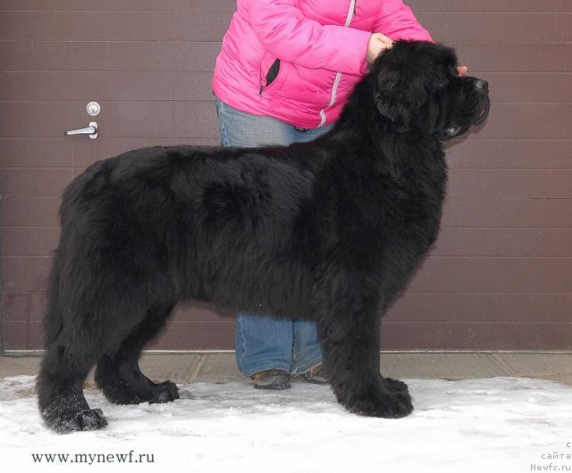 Фотография № 117134