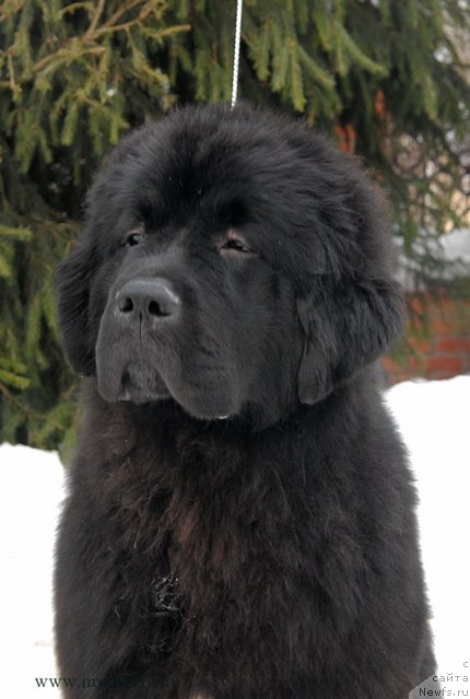 Фотография № 117153