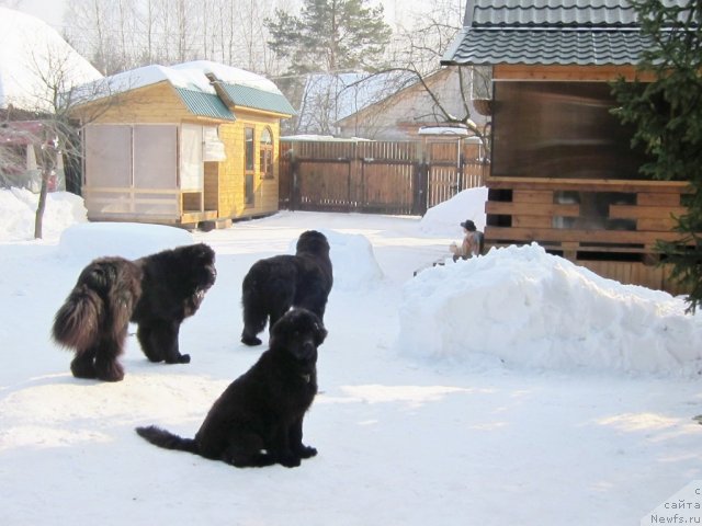 Фотография № 117160