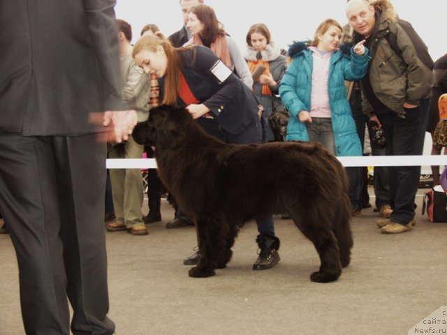 Фотография № 117188